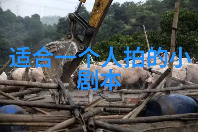 领导写错字